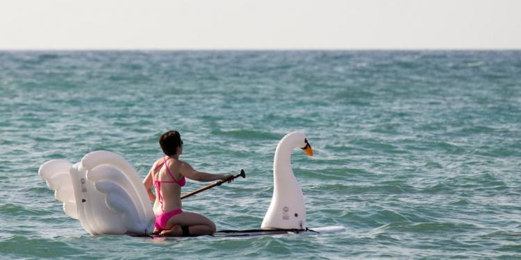 Stand-up Paddle-Board Floats Turn Your Board Into a swan - swan floats for SUP