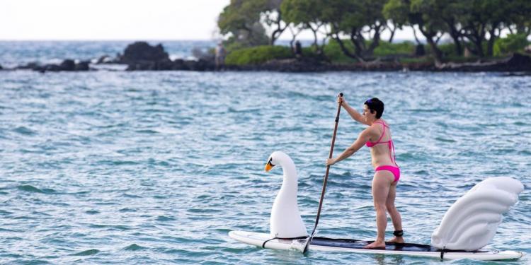 Stand-up Paddle-Board Floats Turn Your Board Into a swan - swan floats for SUP
