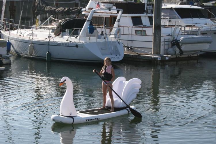 Stand-up Paddle-Board Floats Turn Your Board Into a swan - swan floats for SUP