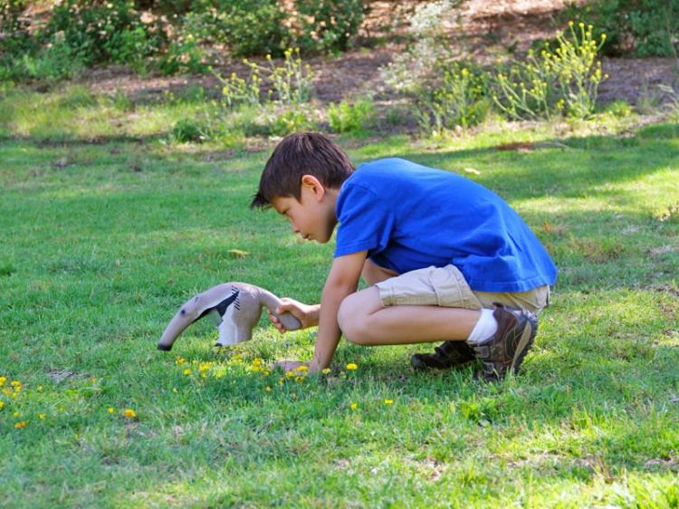 Anteater Bug Vacuum - Bug Observer Toy