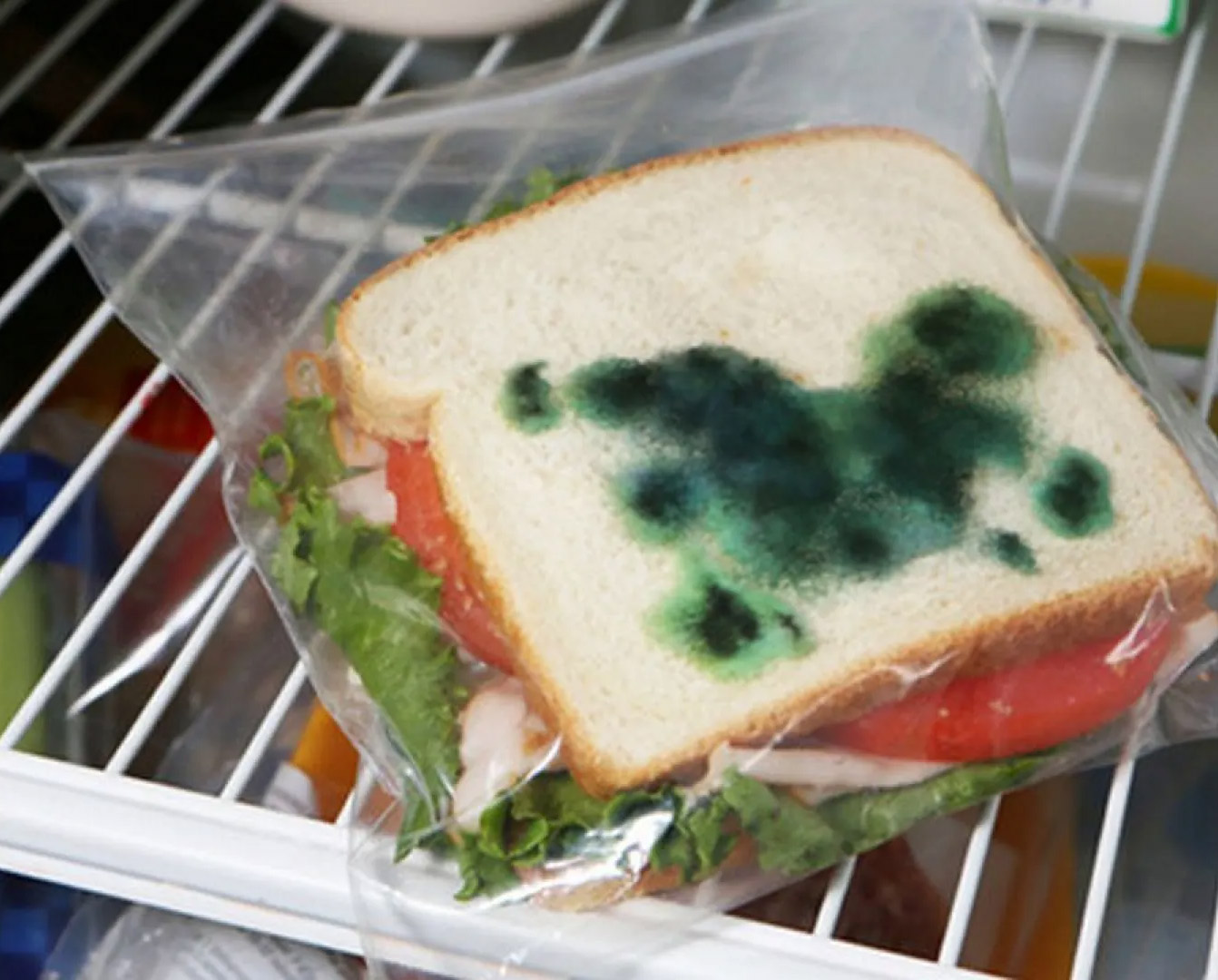 Anti-Theft Lunch Bags - Fake prank Moldy ziploc sandwich bags