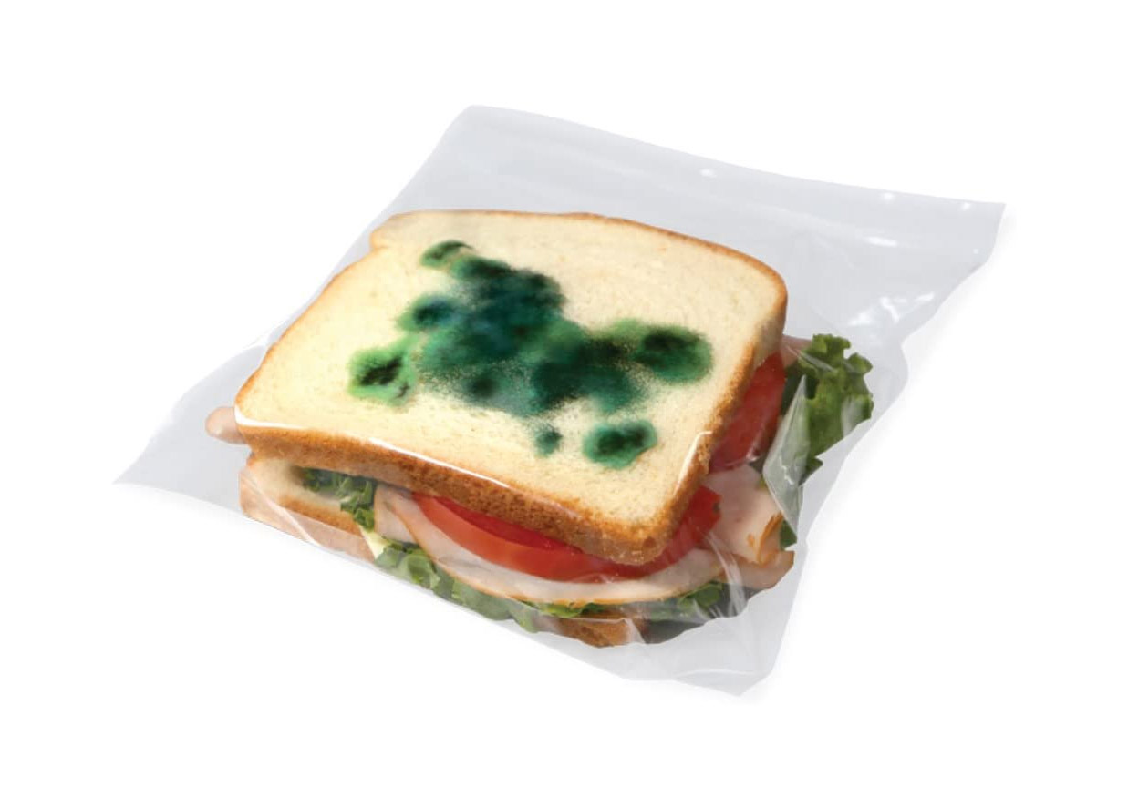 Anti-Theft Lunch Bags - Fake prank Moldy ziploc sandwich bags