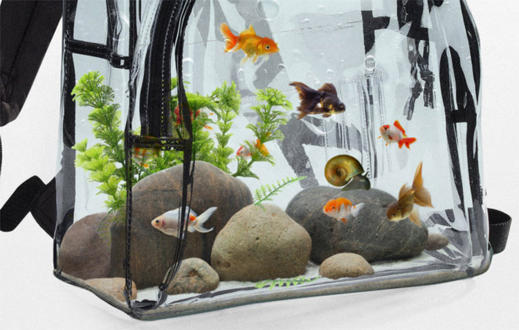Aquarium Backpack