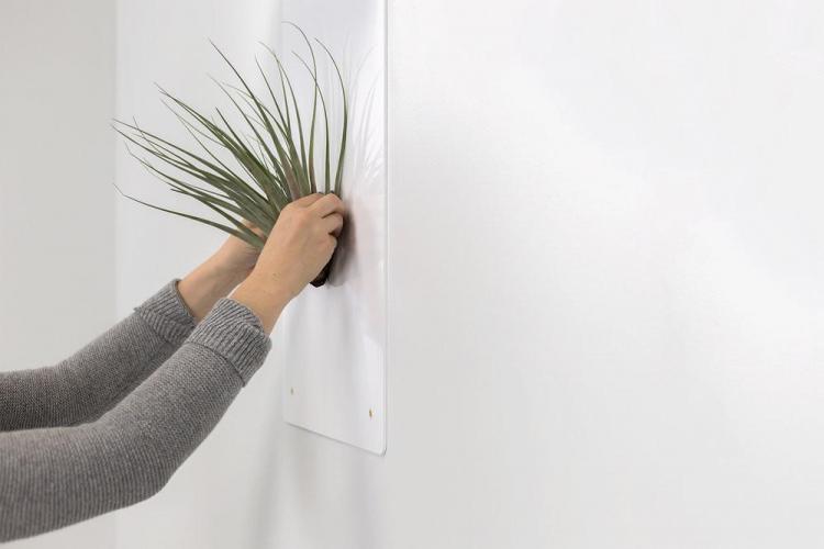 Artifox Minimal Wall Shelf - Magnetic Wall shelf lets you create your own unique arrangements