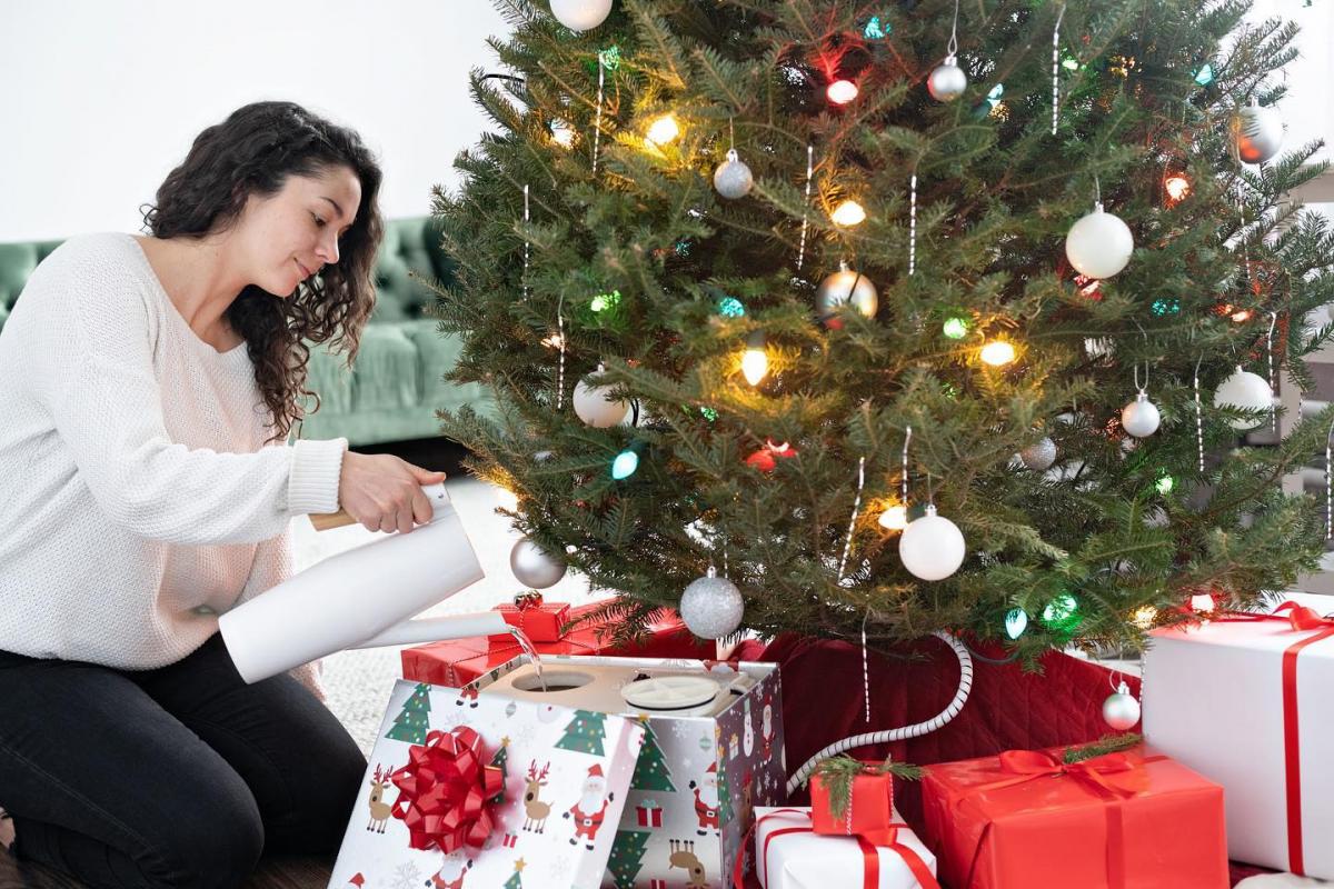 HoHoHoH2o - Automatic Christmas Tree Watering Device Is Disguised As a Present