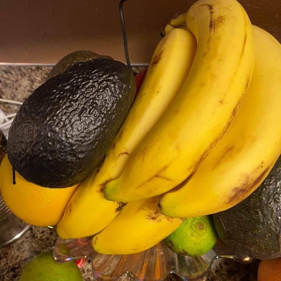 Avocado Purse - Realistic Avocado Coin Purse Clutch