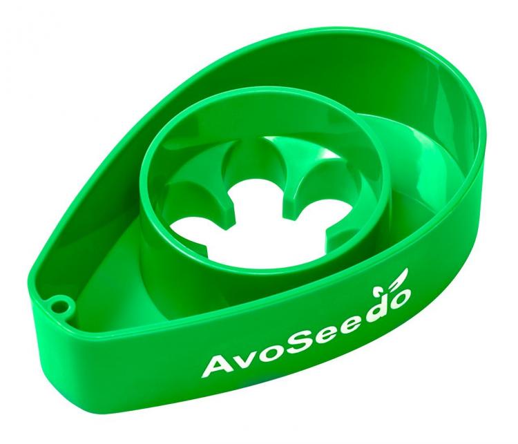 AvoSeedo - Grow Your Own Avocado Tree Using an Avocado Seed