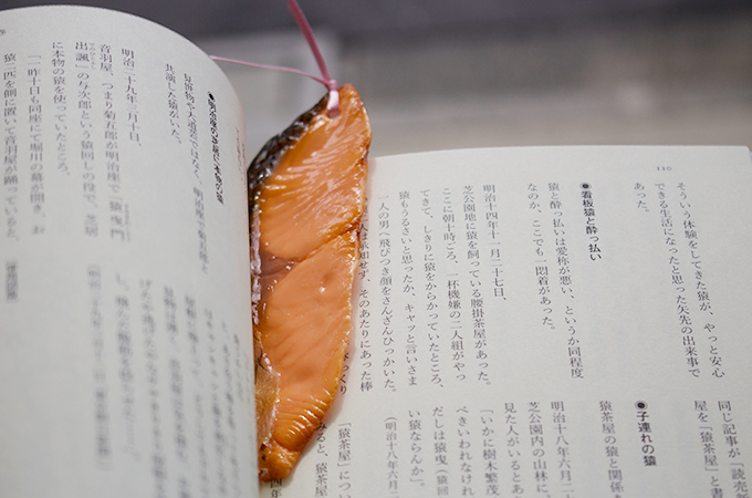 Salmon Bookmark