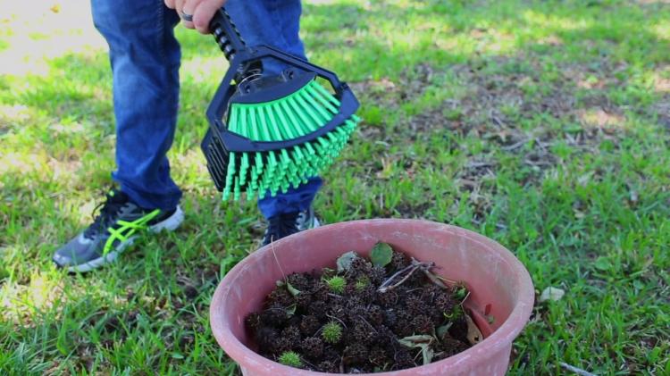 Stab-a-nut nut picker upper tool - Pronged tool helps pick up nuts, acorns, pine-cones, sweet gum balls