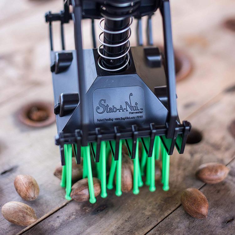 Stab-a-nut nut picker upper tool - Pronged tool helps pick up nuts, acorns, pine-cones, sweet gum balls