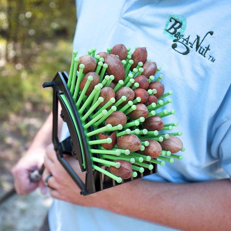Stab-a-nut nut picker upper tool - Pronged tool helps pick up nuts, acorns, pine-cones, sweet gum balls