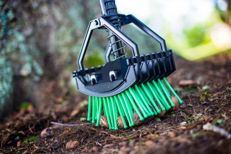 Stab-a-nut nut picker upper tool - Pronged tool helps pick up nuts, acorns, pine-cones, sweet gum balls