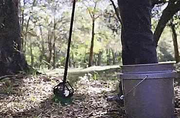 Stab-a-nut nut picker upper tool - Pronged tool helps pick up nuts, acorns, pine-cones, sweet gum balls