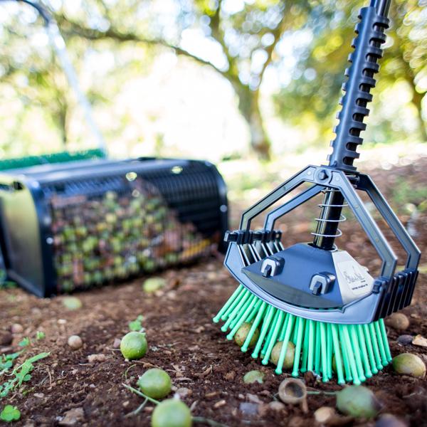 Stab-a-nut nut picker upper tool - Pronged tool helps pick up nuts, acorns, pine-cones, sweet gum balls