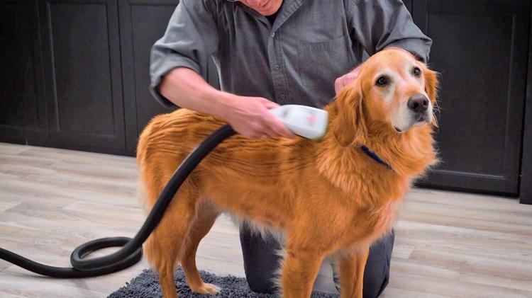 Bissel Bark Bath - BarkBath portable dog bath - portable dog washer vacuum