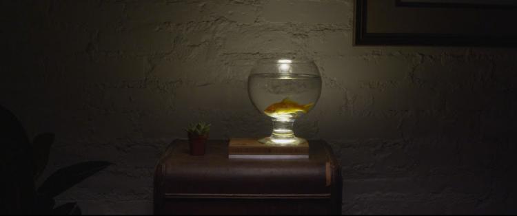 Baselamp - Make Your Own Lamp From Transparent Objects