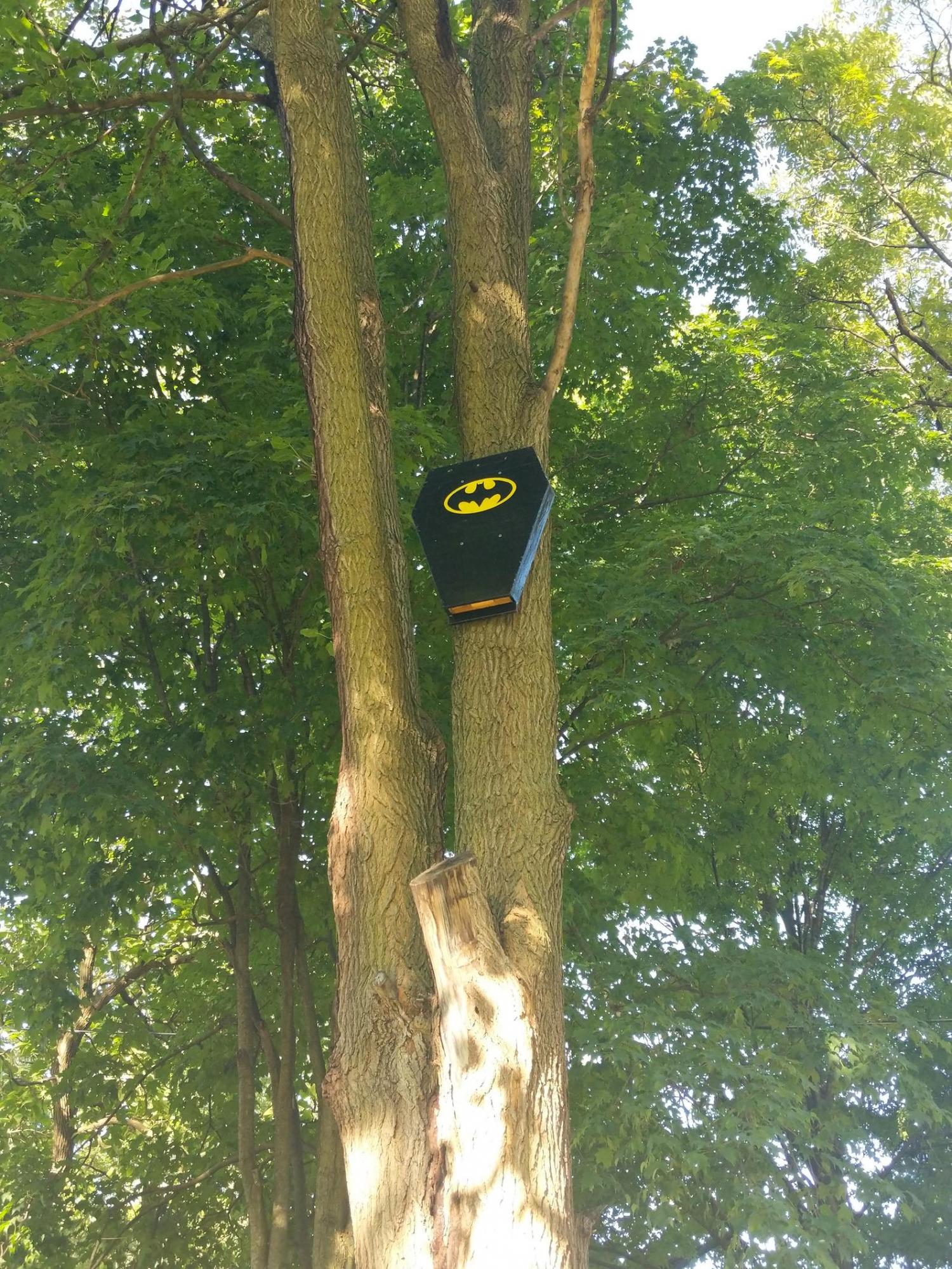 Batman Bat House