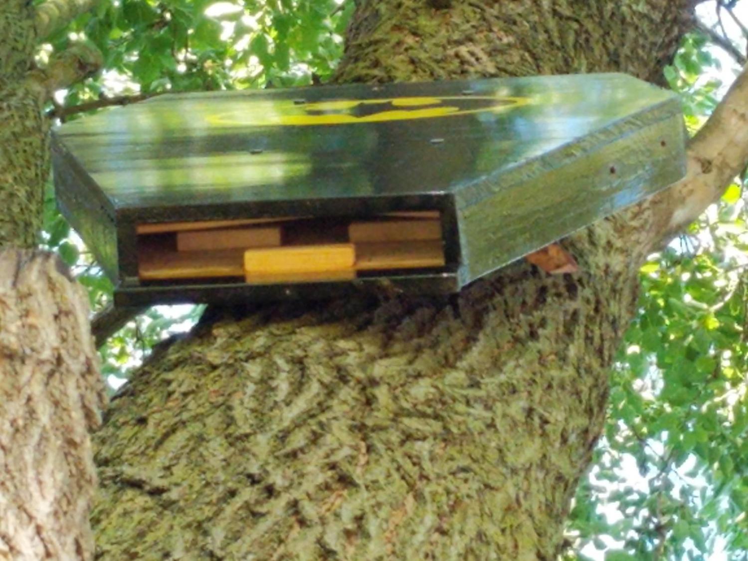 Batman Bat House