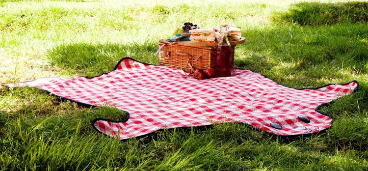 Bear Skin Picnic Blanket