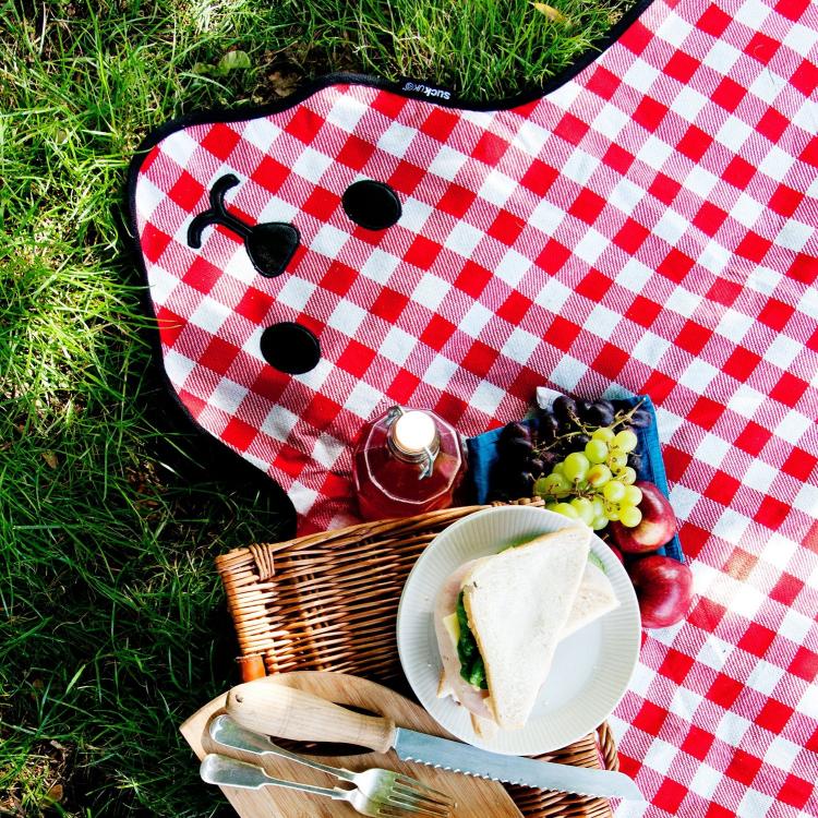 Bear Skin Picnic Blanket