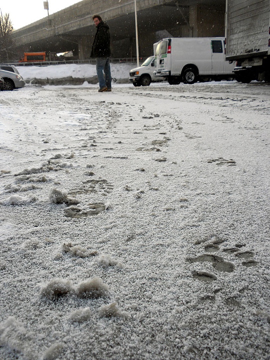 Animal footprint shoes leave behind deer and bear tracks in snow