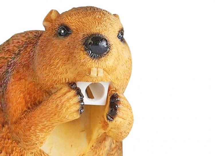 Beaver Pencil Sharpener