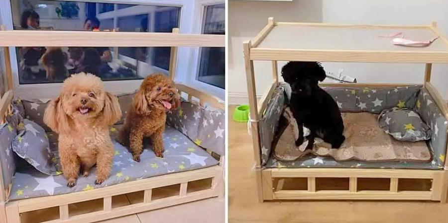 Bedside Table Dog Bed