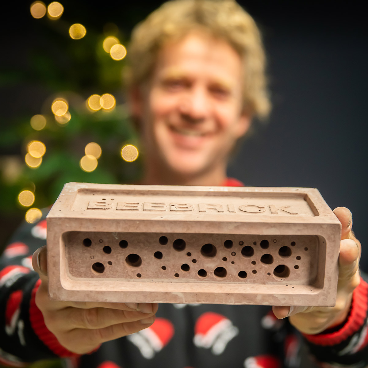 Bee bricks home for bees to live safely