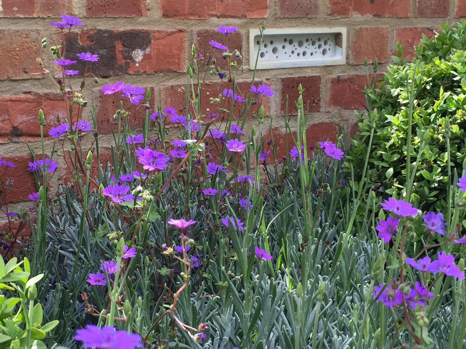 Bee bricks home for bees to live safely