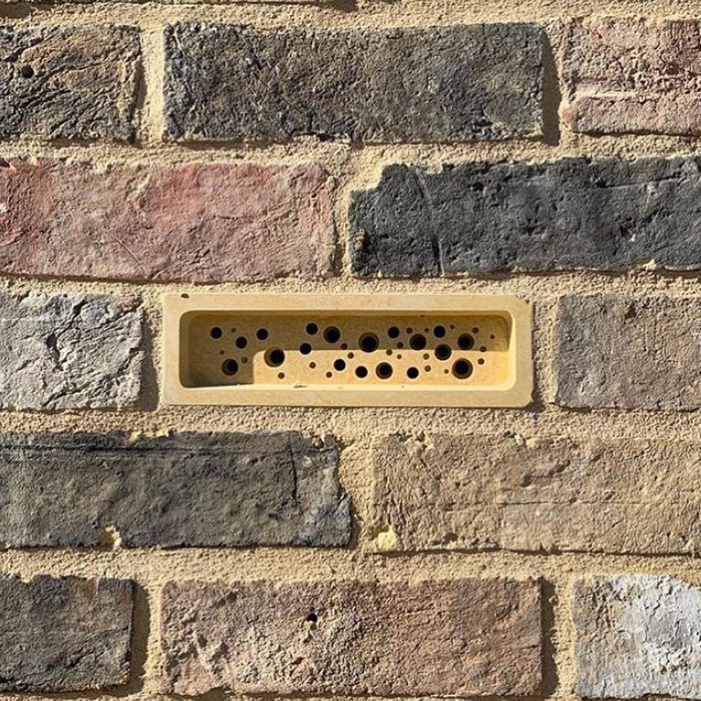 Bee bricks home for bees to live safely