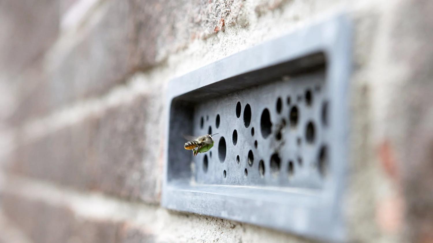 Bee bricks home for bees to live safely