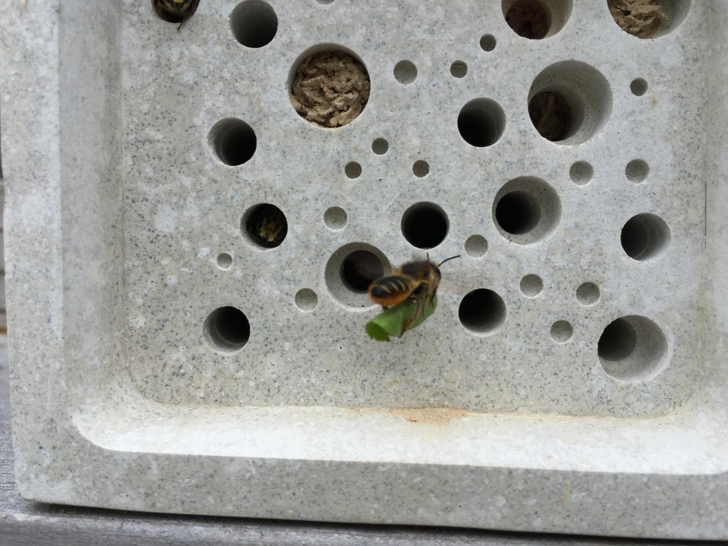 Bee bricks home for bees to live safely