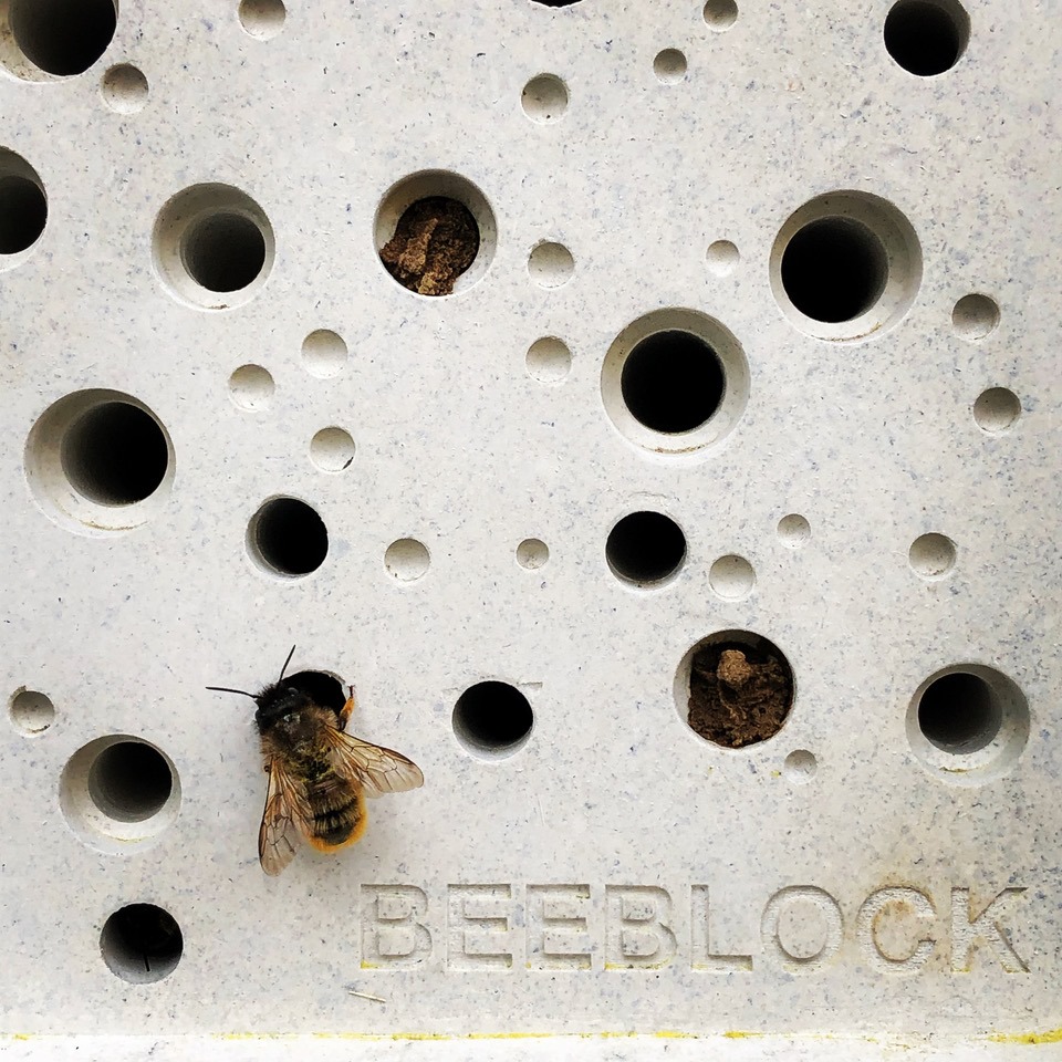 Bee bricks home for bees to live safely
