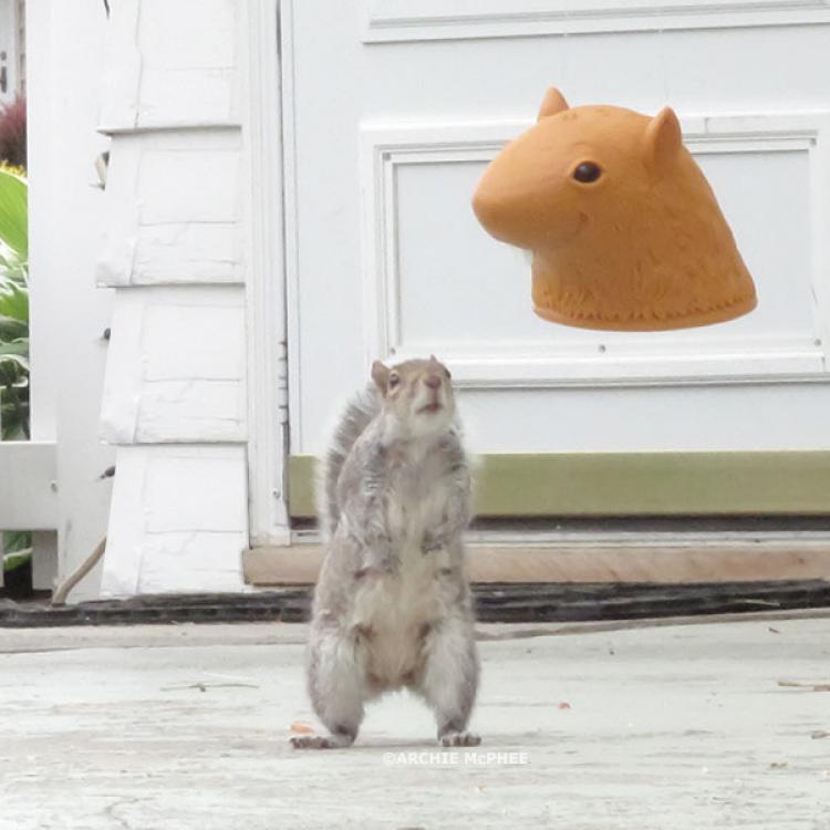 Big Head Squirrel Feeder