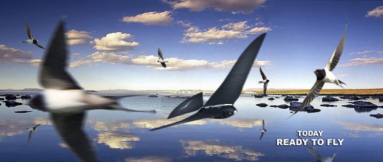 Bionic Bird Controlled From Your Smart Phone