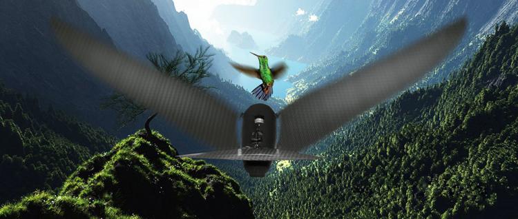 Bionic Bird Controlled From Your Smart Phone