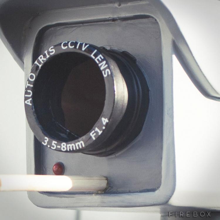 CCTV Security Camera Birdhouse