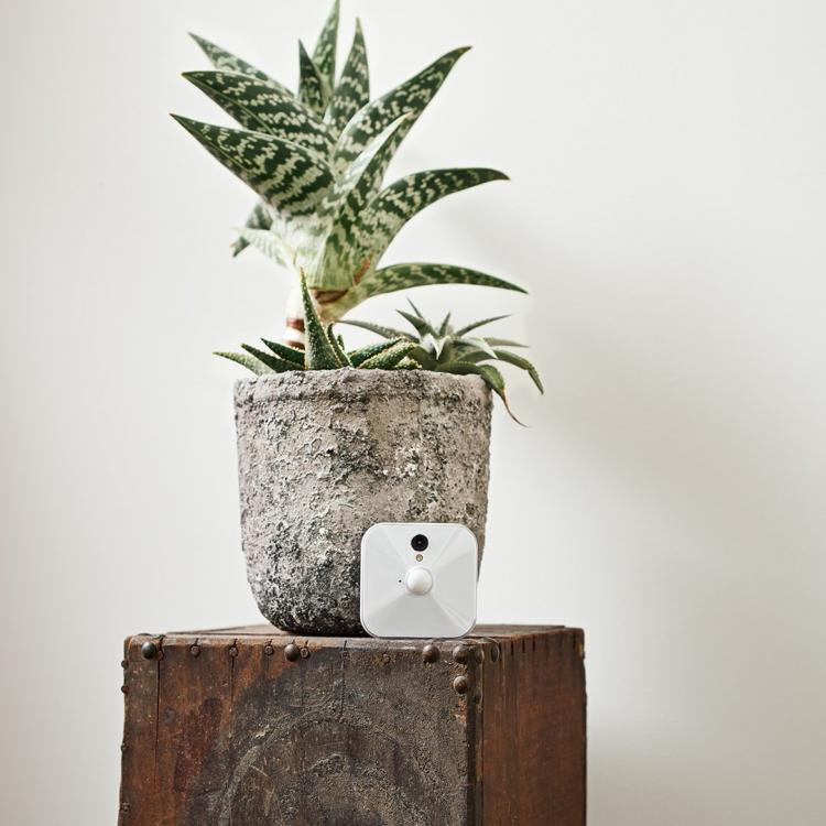 Blink Home Security Camera - Camera powered by 2 AA batteries - home camera only records when movement is detected