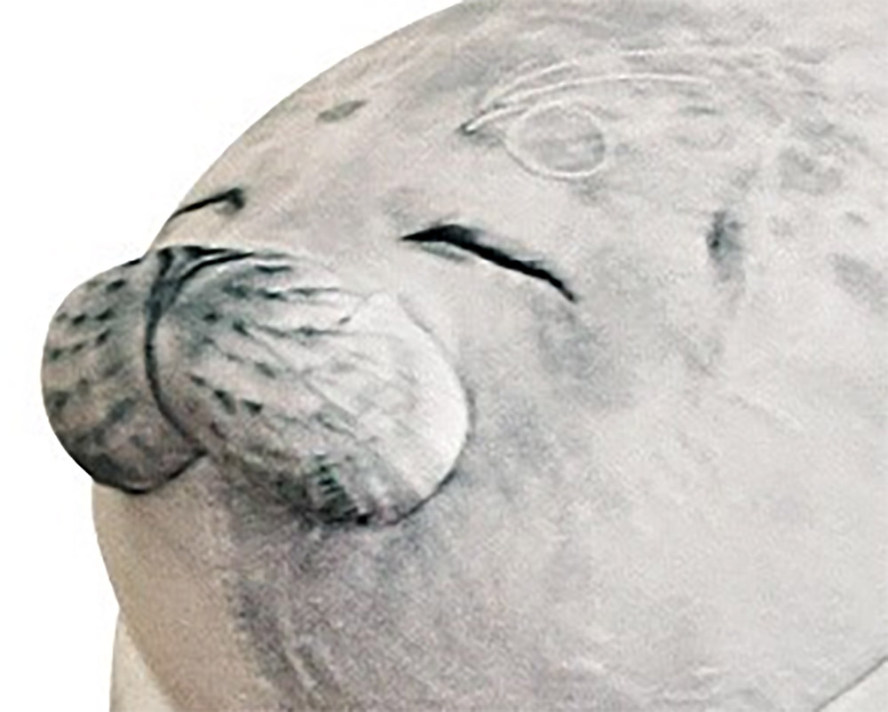 Chonky Seal Pillow - Realistic seal pillow cushion