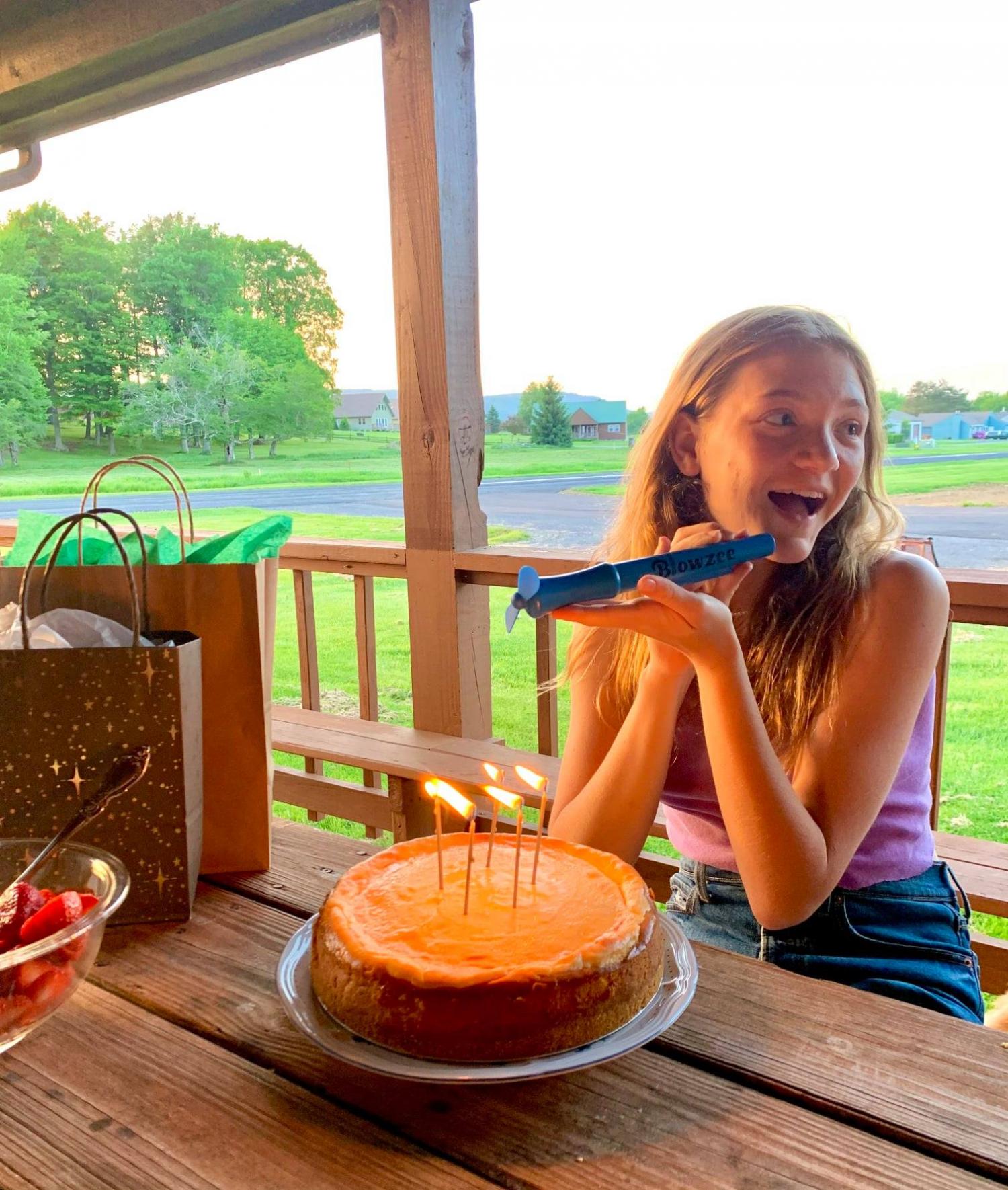 Blowzee Spit Free Cake Candle Blowing Device