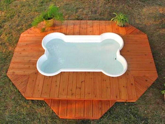 One Dog One Bone - Dog Bone Shaped Dog Pool