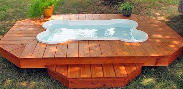One Dog One Bone - Dog Bone Shaped Dog Pool