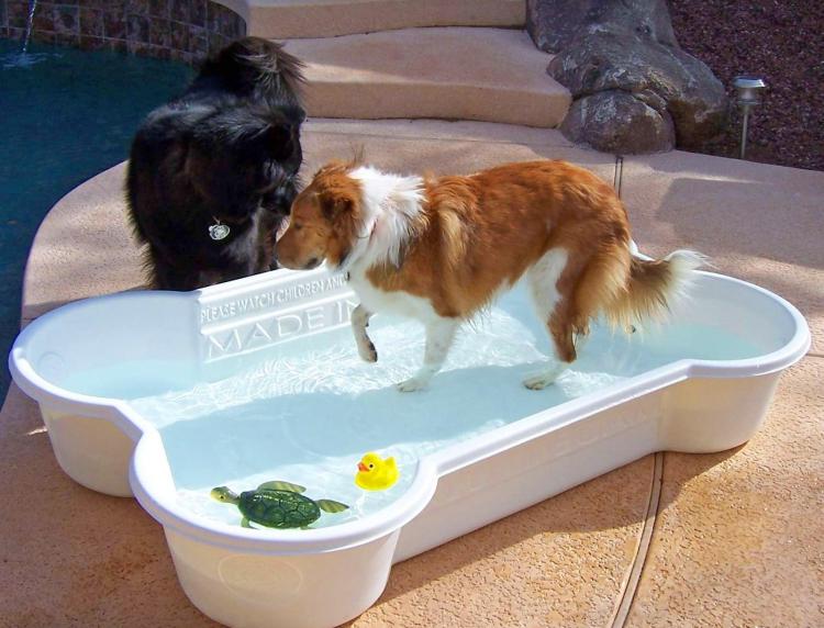 One Dog One Bone - Dog Bone Shaped Dog Pool