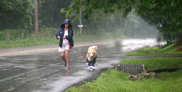 Bottom Half Dog Pants - Dog Raincoat