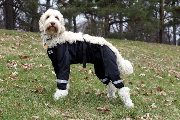 Bottom Half Dog Pants - Dog Raincoat