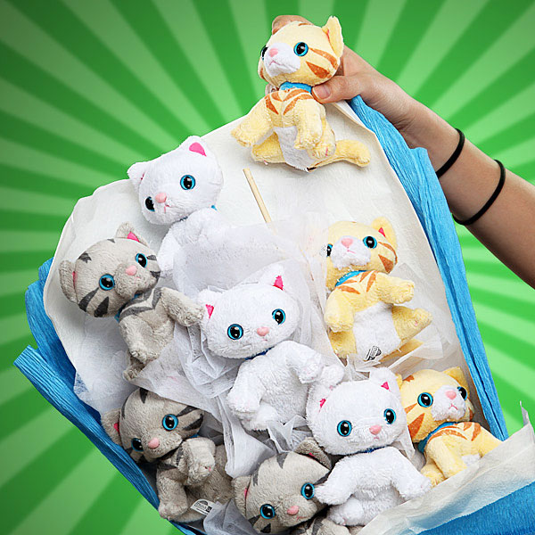 Bouquet Of Kittens