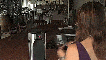 Boxxle Classy Boxed Wine Dispenser - Stainless Steel wine bag classy wine dispenser