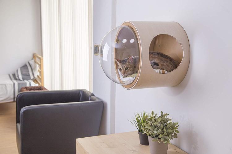 Bubble Window Wall-Mounted Cat Bed - Floating futuristic spaceship cat bed lounger - MYZOO Spaceship gamma
