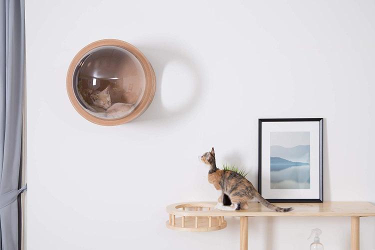 Bubble Window Wall-Mounted Cat Bed - Floating futuristic spaceship cat bed lounger - MYZOO Spaceship gamma