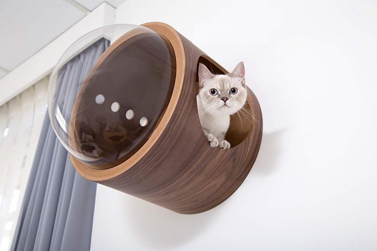 Bubble Window Wall-Mounted Cat Bed - Floating futuristic spaceship cat bed lounger - MYZOO Spaceship gamma